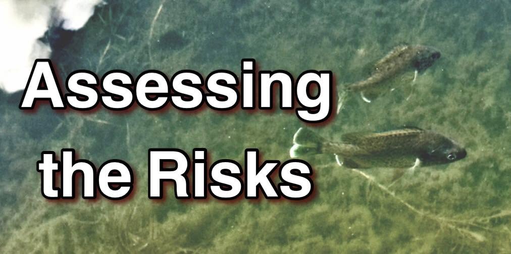 Assessing the Risks